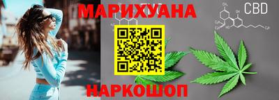 spice Гай