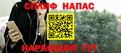ECSTASY Гатчина
