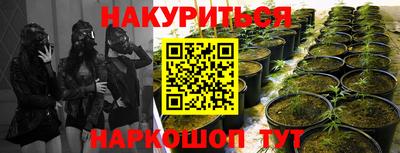 spice Гай